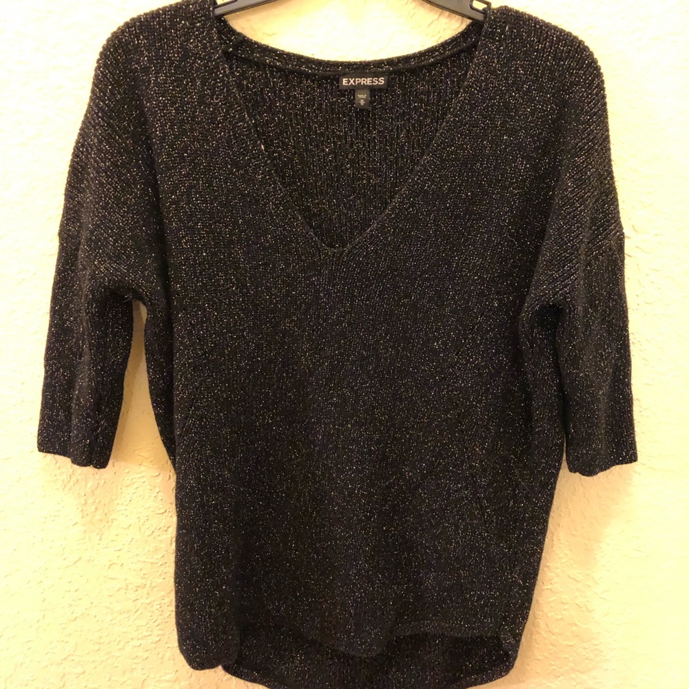 Express Sparkly Sweater